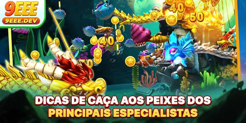 Dicas de caça aos peixes dos principais especialistas